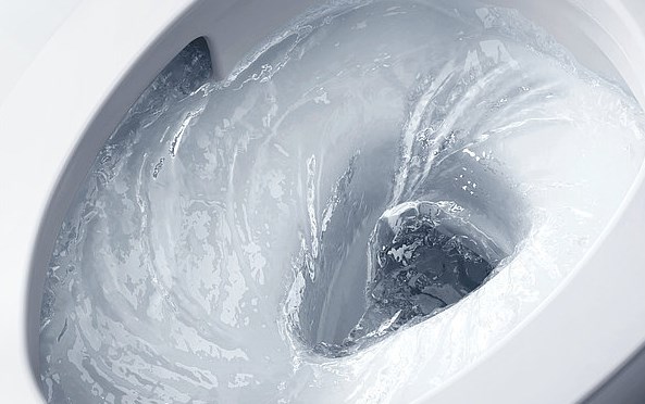 TOTO GP závesné WC, Rimless splachovanie CW553Y Obrázek - fotka